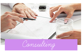Consulting